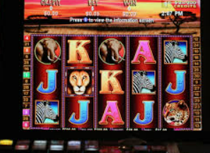 vwin德赢官网首页2024最新版